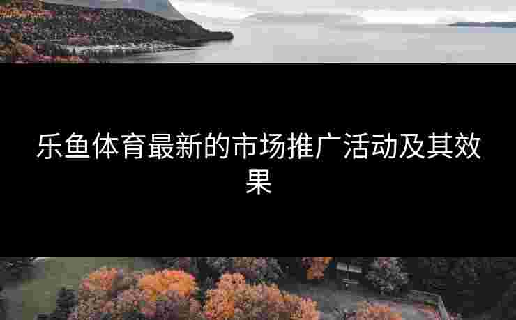 乐鱼体育最新的市场推广活动及其效果