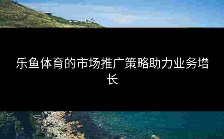 乐鱼体育的市场推广策略助力业务增长